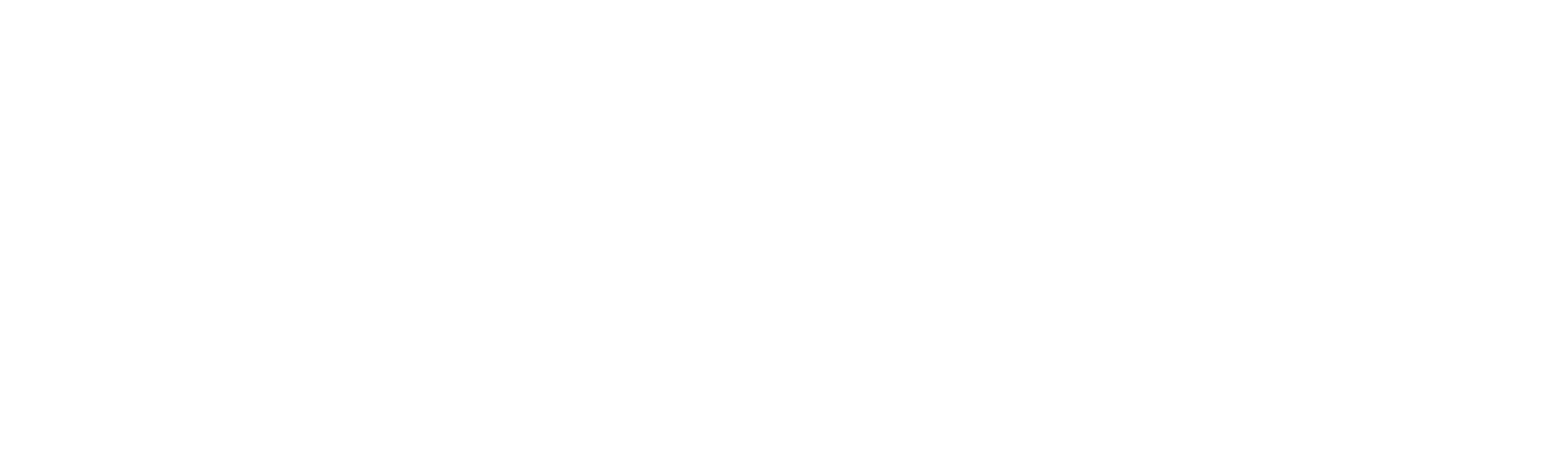 NEW ERA Logo